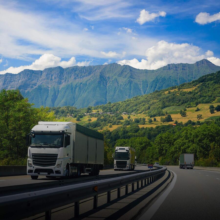 Mezinárodní kamionová doprava